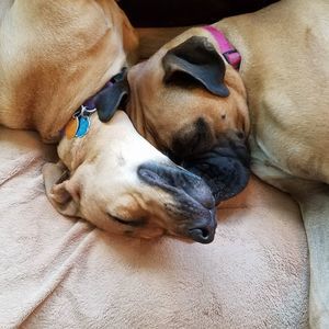 Meet your Posher, Donna